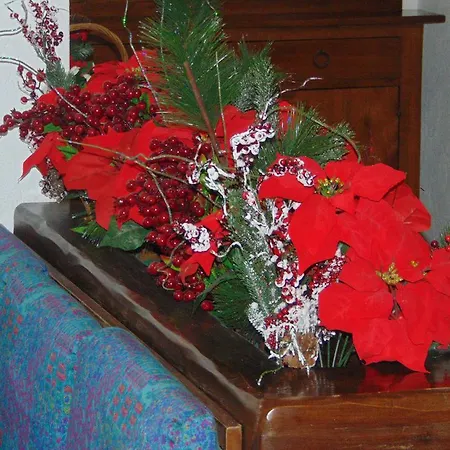 Triolet 3* كورمايور